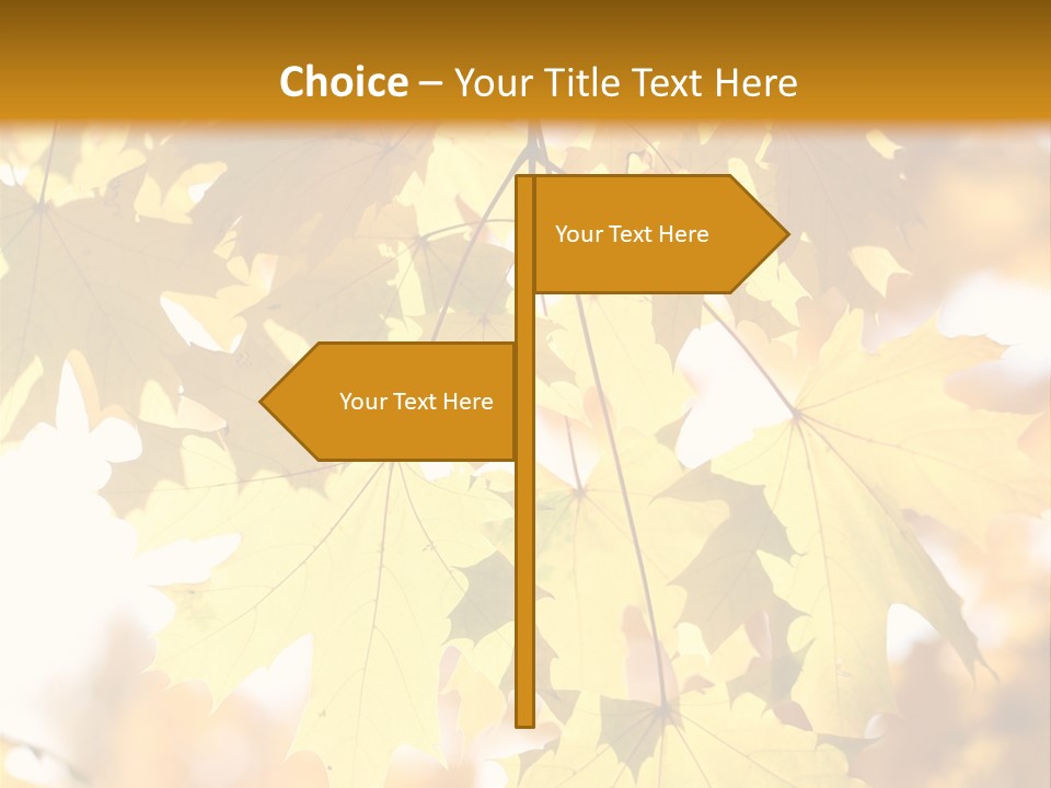 Closeup Color Leaf PowerPoint Template