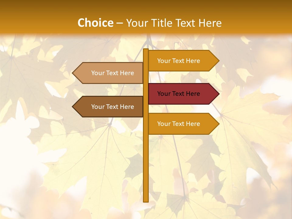 Closeup Color Leaf PowerPoint Template