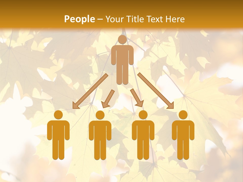 Closeup Color Leaf PowerPoint Template