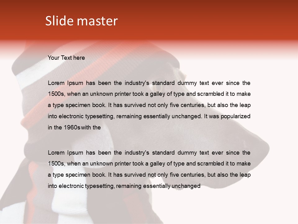 Humanization Fashionable Fashion PowerPoint Template