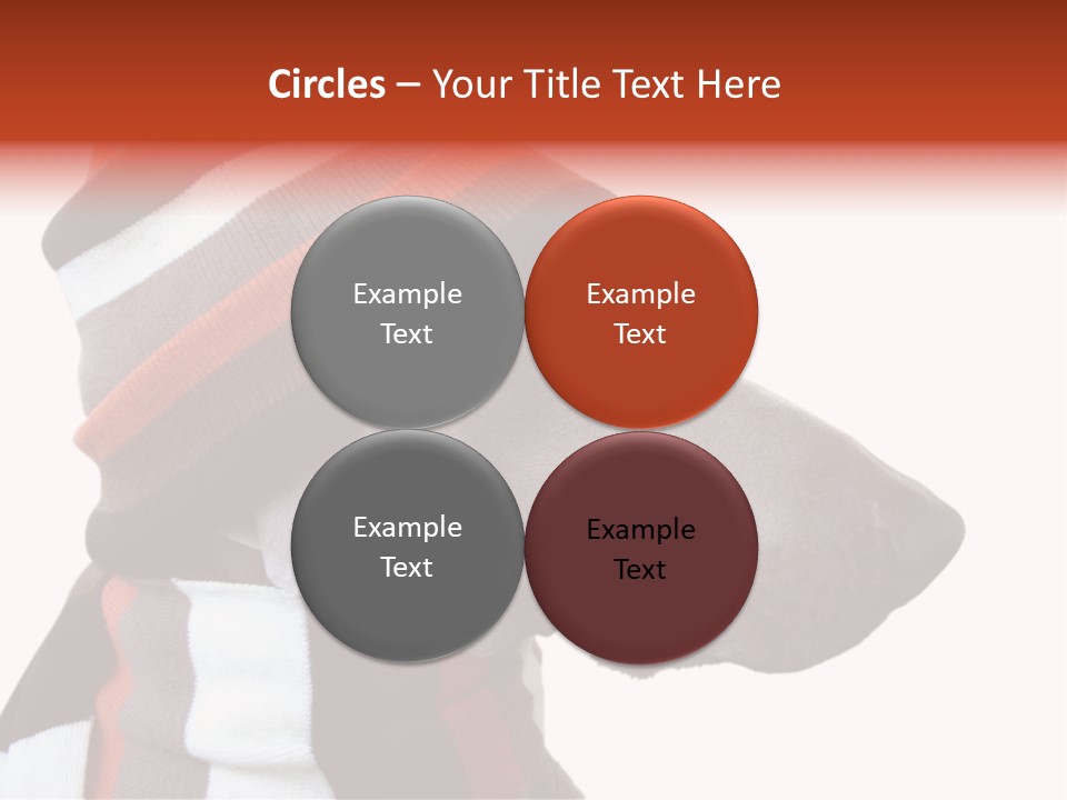 Humanization Fashionable Fashion PowerPoint Template