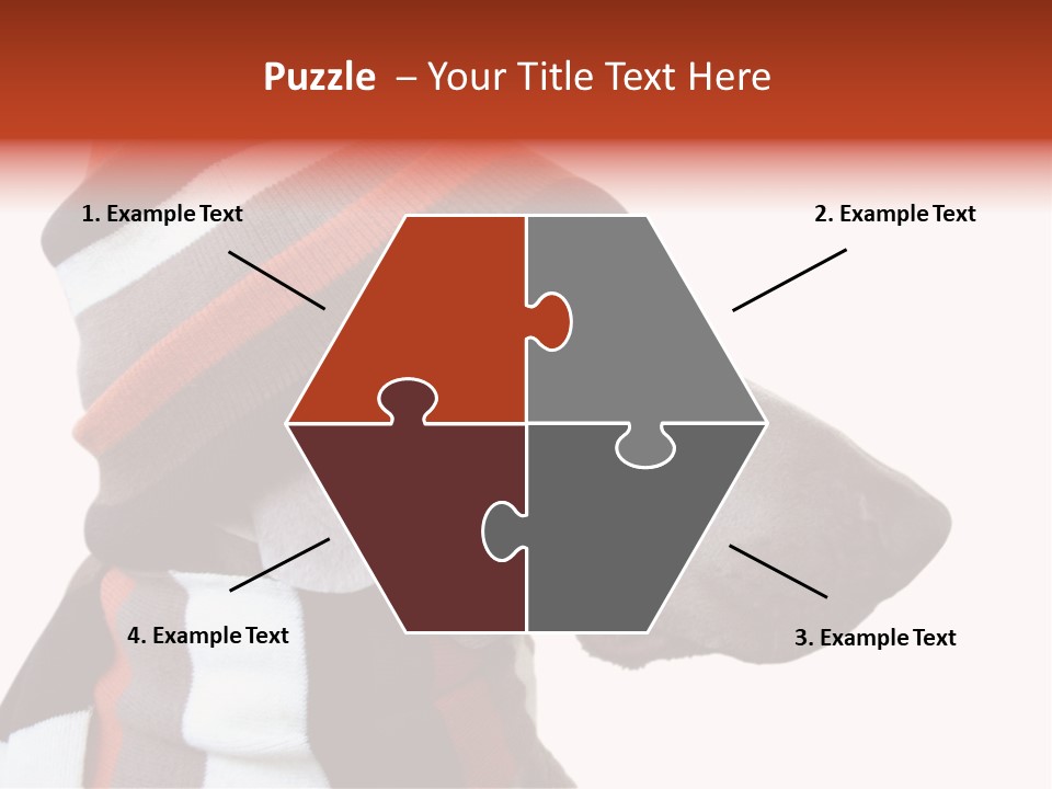 Humanization Fashionable Fashion PowerPoint Template