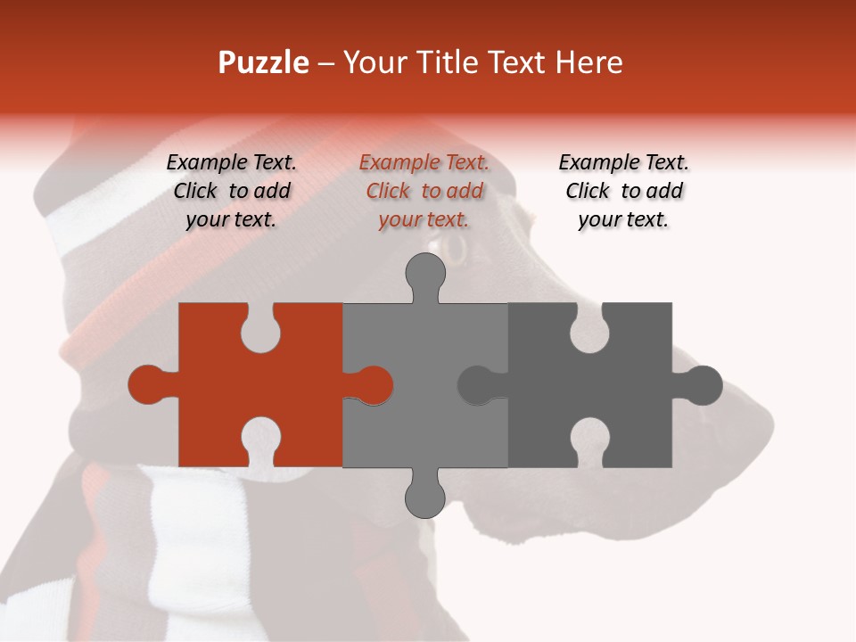 Humanization Fashionable Fashion PowerPoint Template