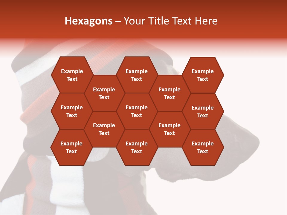 Humanization Fashionable Fashion PowerPoint Template