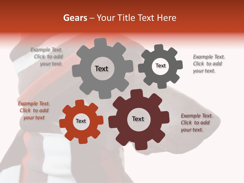 Humanization Fashionable Fashion PowerPoint Template