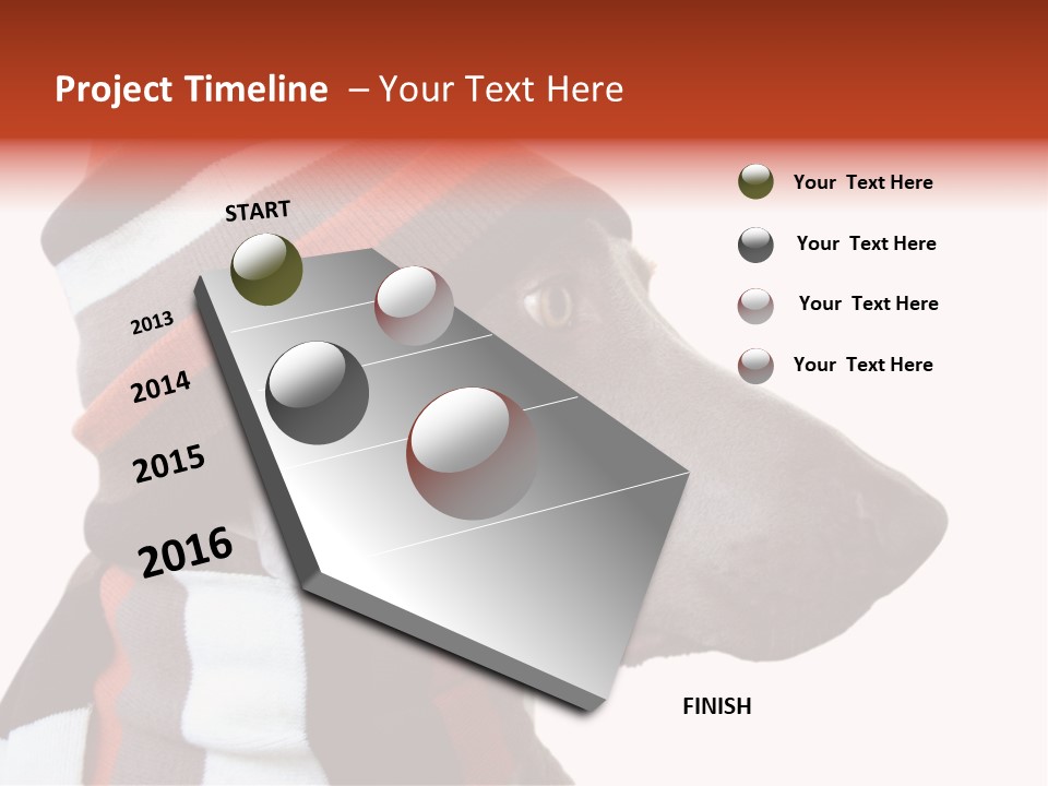 Humanization Fashionable Fashion PowerPoint Template