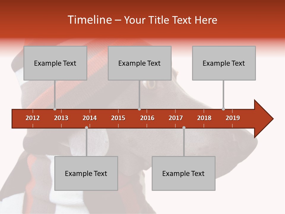 Humanization Fashionable Fashion PowerPoint Template