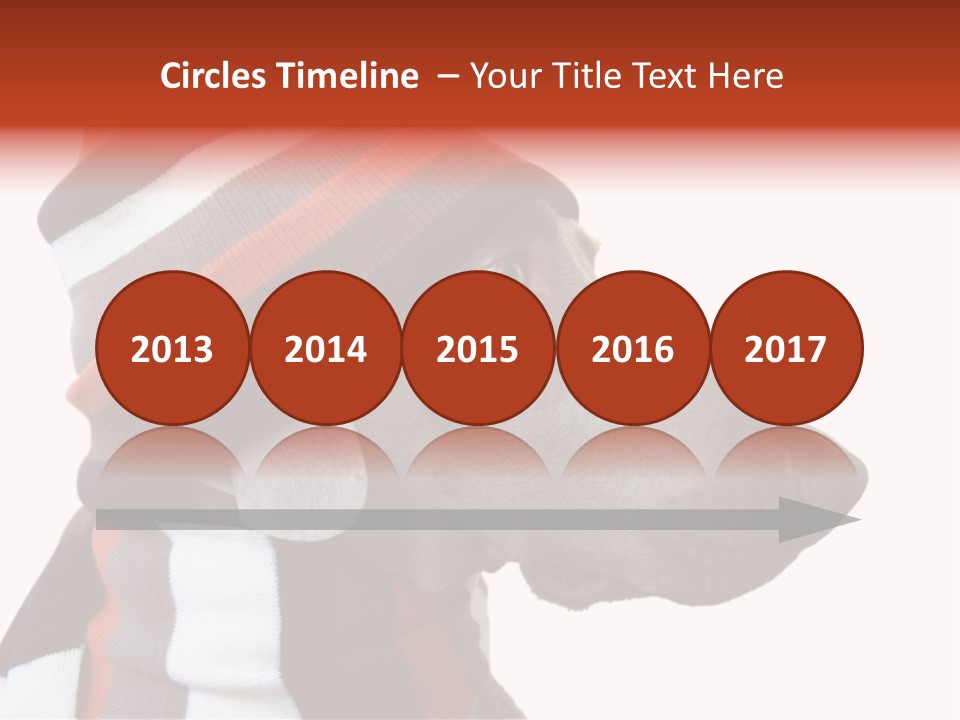 Humanization Fashionable Fashion PowerPoint Template