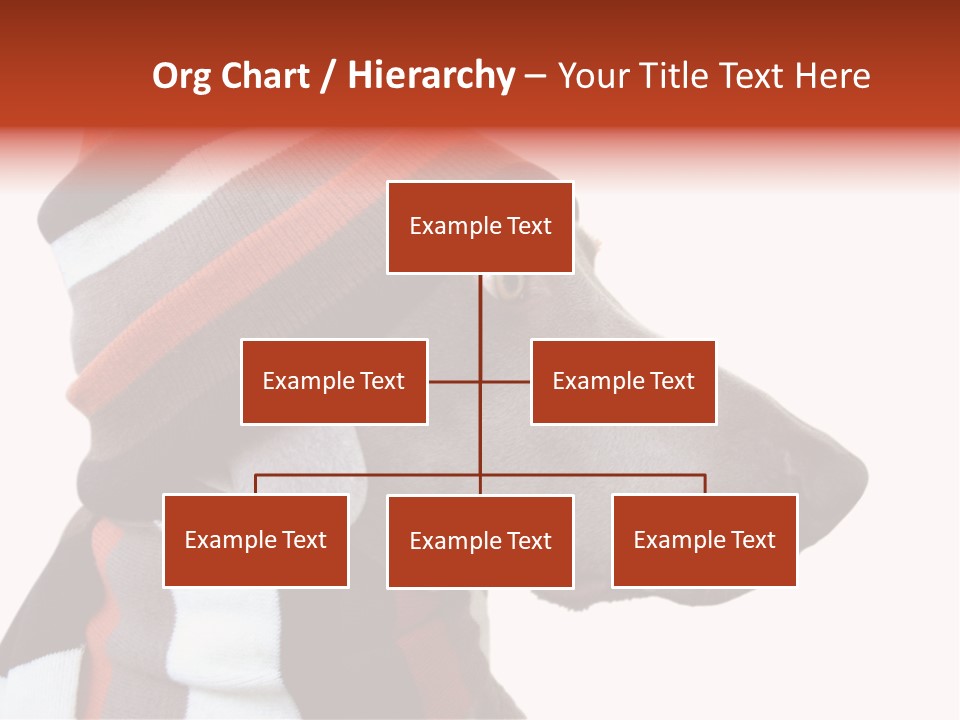 Humanization Fashionable Fashion PowerPoint Template