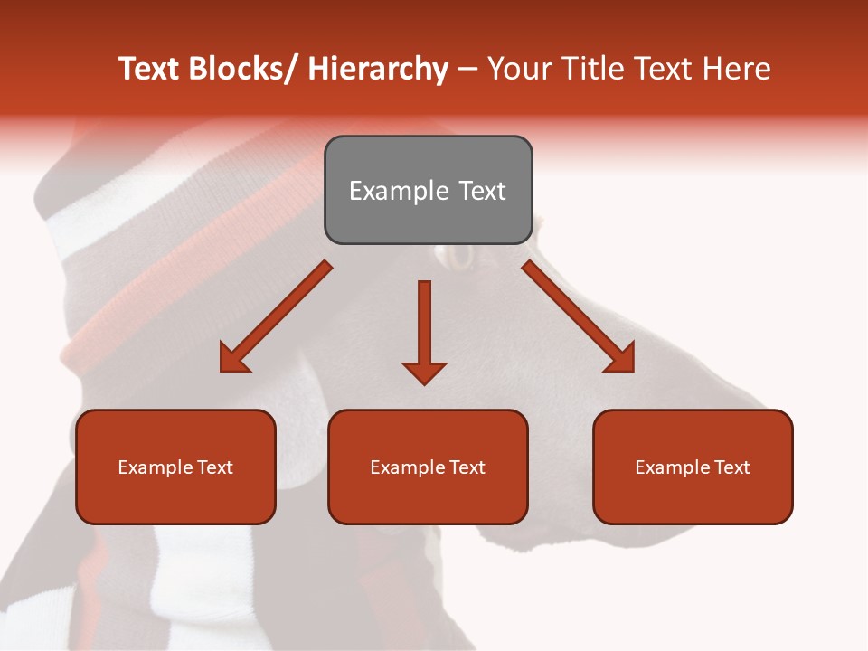 Humanization Fashionable Fashion PowerPoint Template