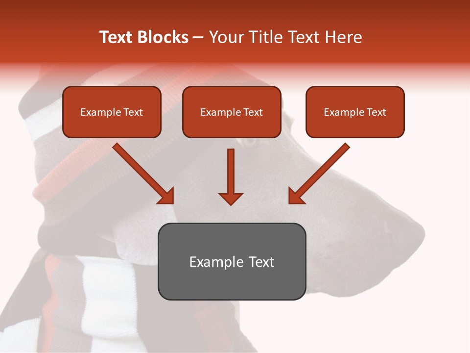 Humanization Fashionable Fashion PowerPoint Template