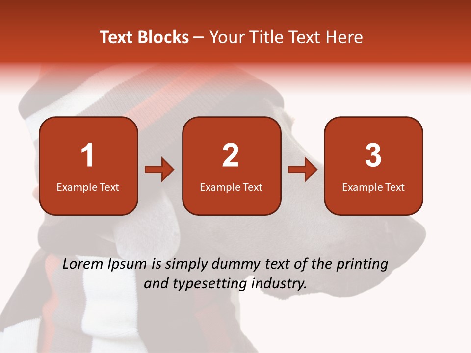 Humanization Fashionable Fashion PowerPoint Template