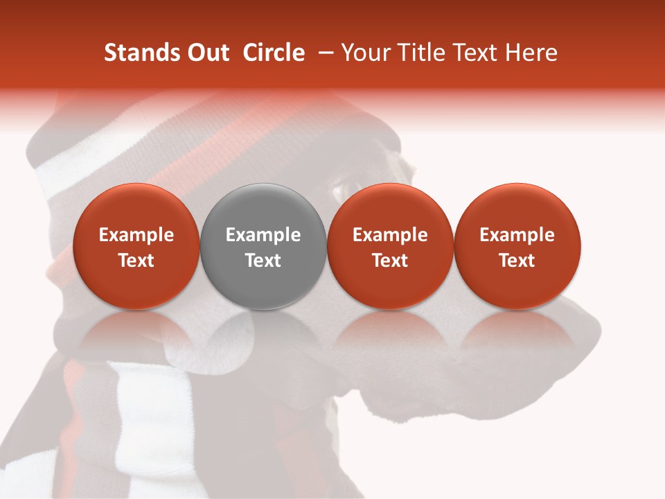 Humanization Fashionable Fashion PowerPoint Template