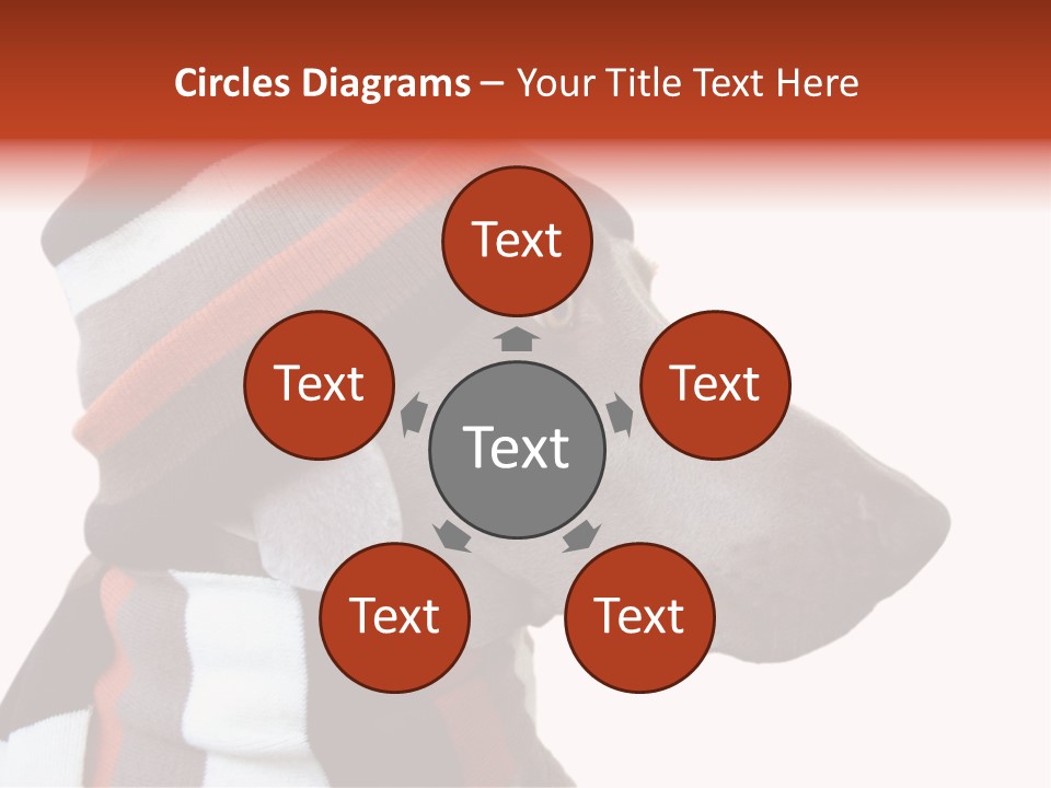 Humanization Fashionable Fashion PowerPoint Template