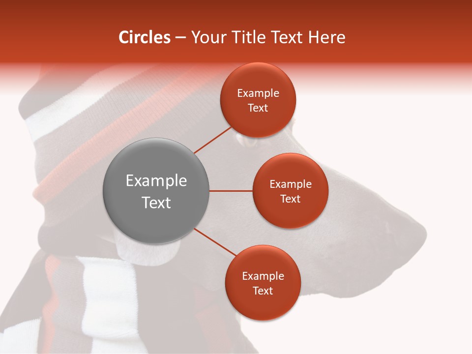 Humanization Fashionable Fashion PowerPoint Template