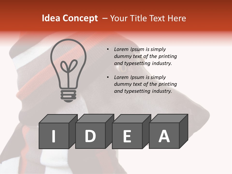 Humanization Fashionable Fashion PowerPoint Template