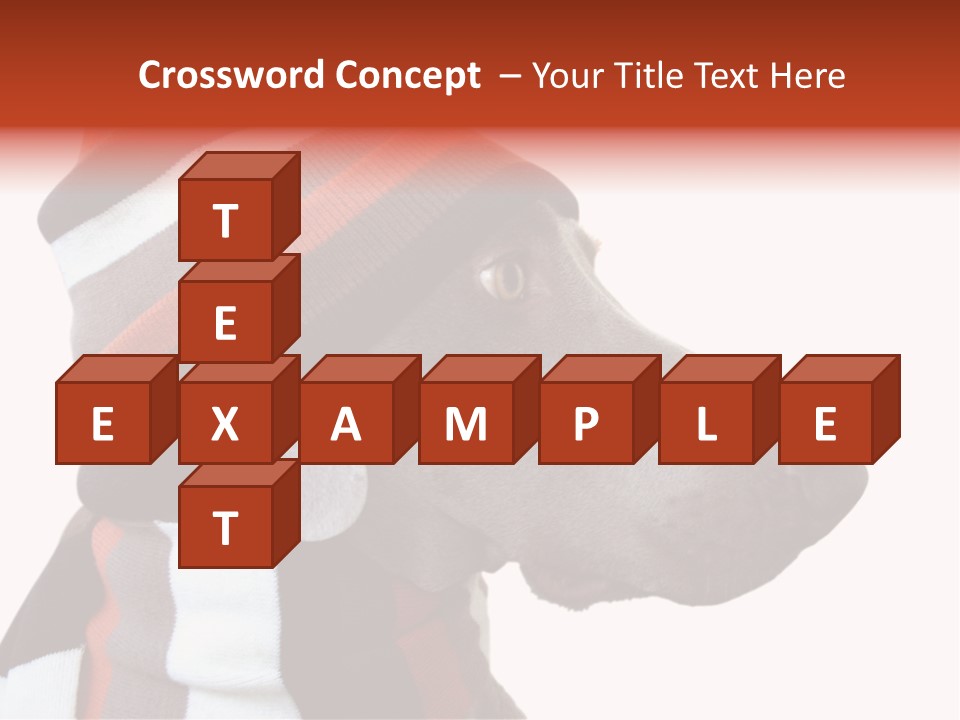 Humanization Fashionable Fashion PowerPoint Template