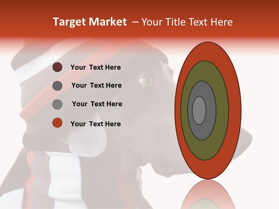 Humanization Fashionable Fashion PowerPoint Template