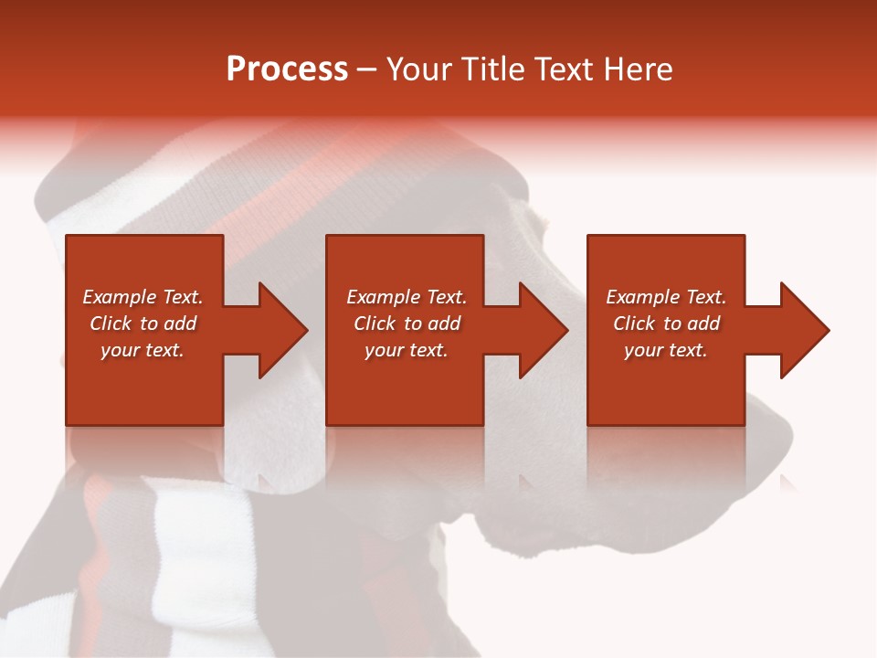 Humanization Fashionable Fashion PowerPoint Template