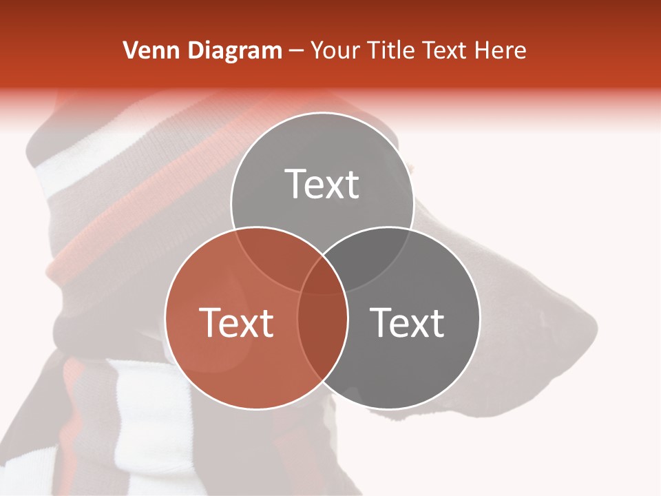 Humanization Fashionable Fashion PowerPoint Template