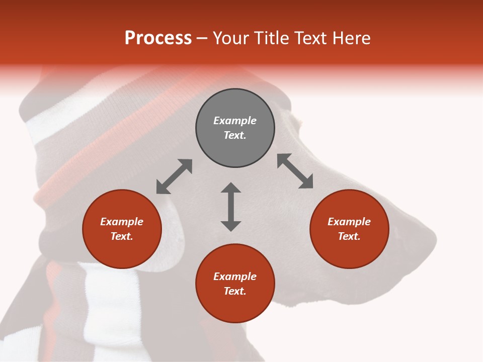 Humanization Fashionable Fashion PowerPoint Template