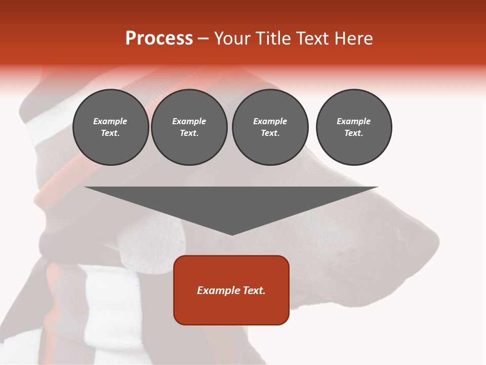 Humanization Fashionable Fashion PowerPoint Template