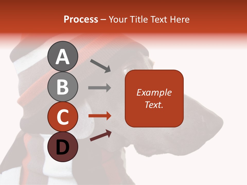 Humanization Fashionable Fashion PowerPoint Template