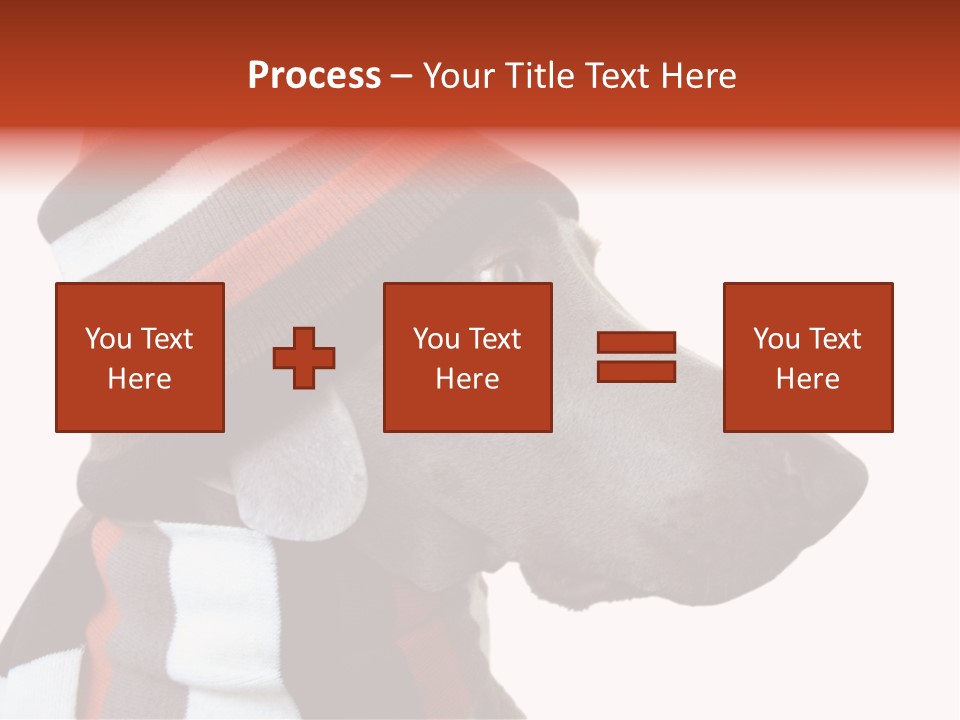 Humanization Fashionable Fashion PowerPoint Template