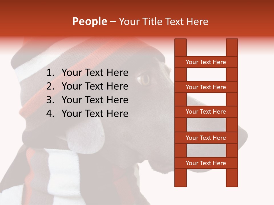 Humanization Fashionable Fashion PowerPoint Template