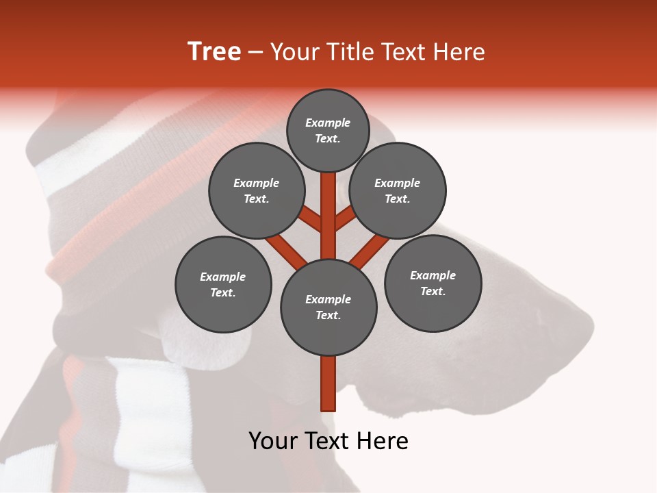 Humanization Fashionable Fashion PowerPoint Template