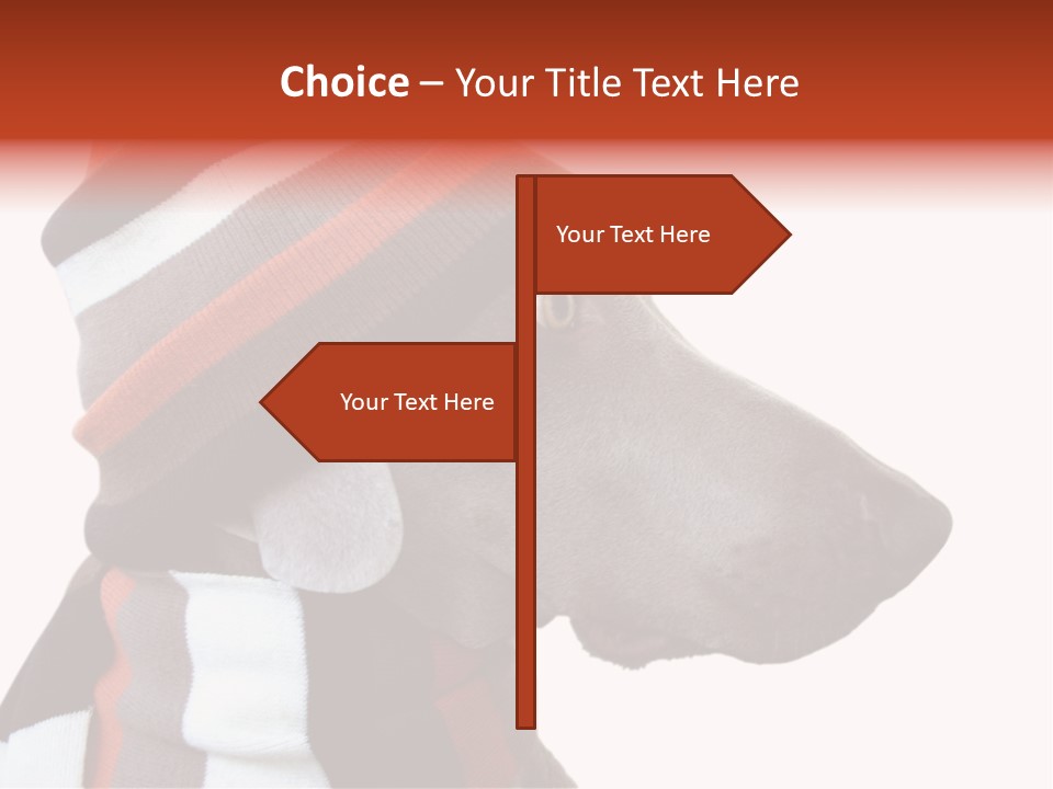 Humanization Fashionable Fashion PowerPoint Template