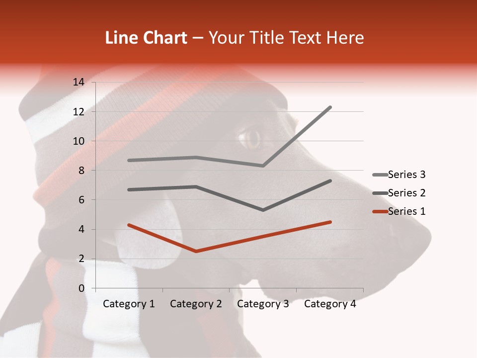 Humanization Fashionable Fashion PowerPoint Template