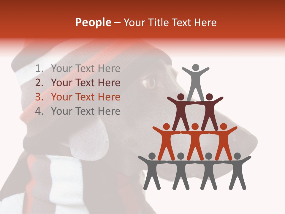 Humanization Fashionable Fashion PowerPoint Template