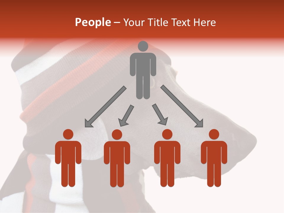 Humanization Fashionable Fashion PowerPoint Template