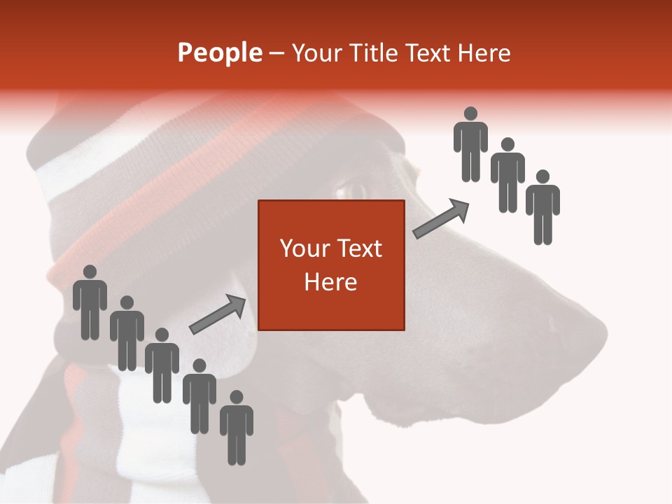 Humanization Fashionable Fashion PowerPoint Template