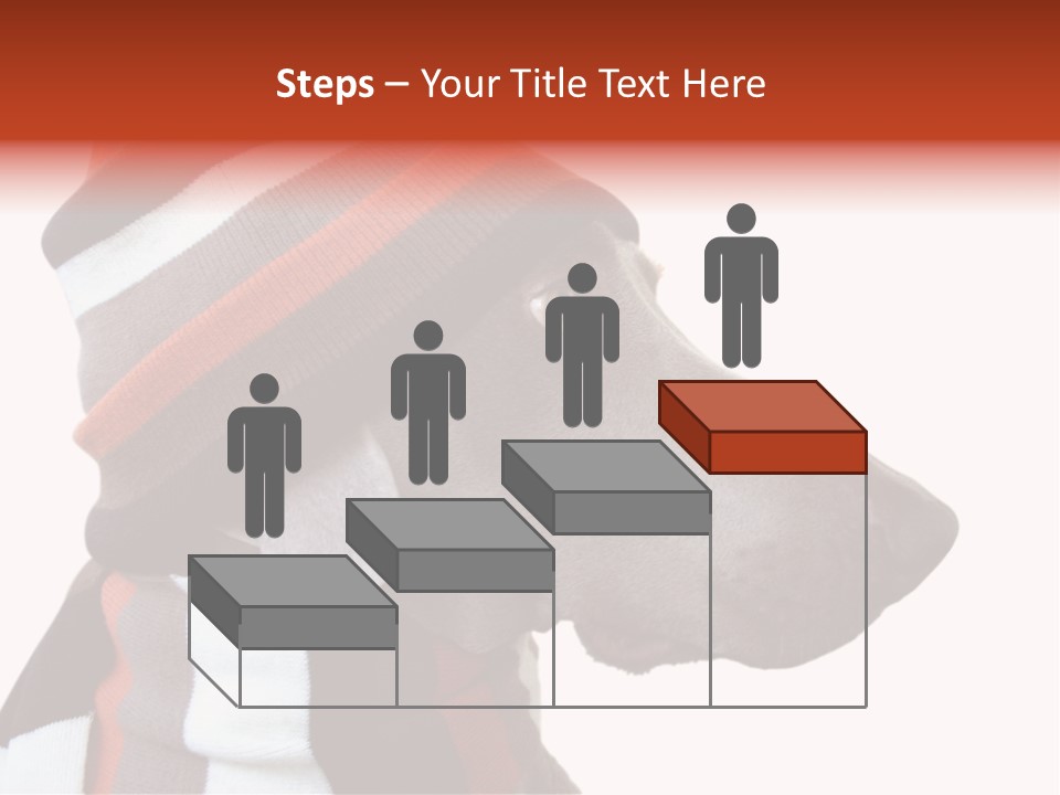 Humanization Fashionable Fashion PowerPoint Template