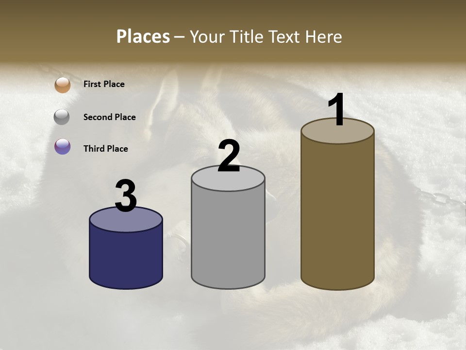 Snow White Husky PowerPoint Template