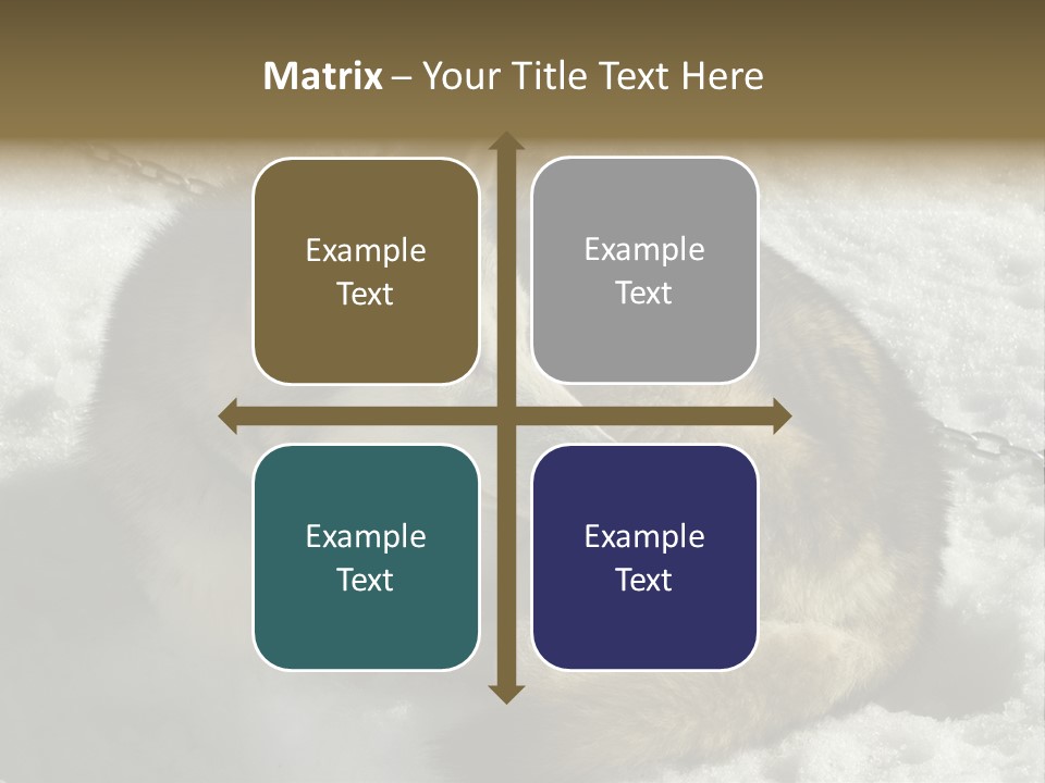 Snow White Husky PowerPoint Template