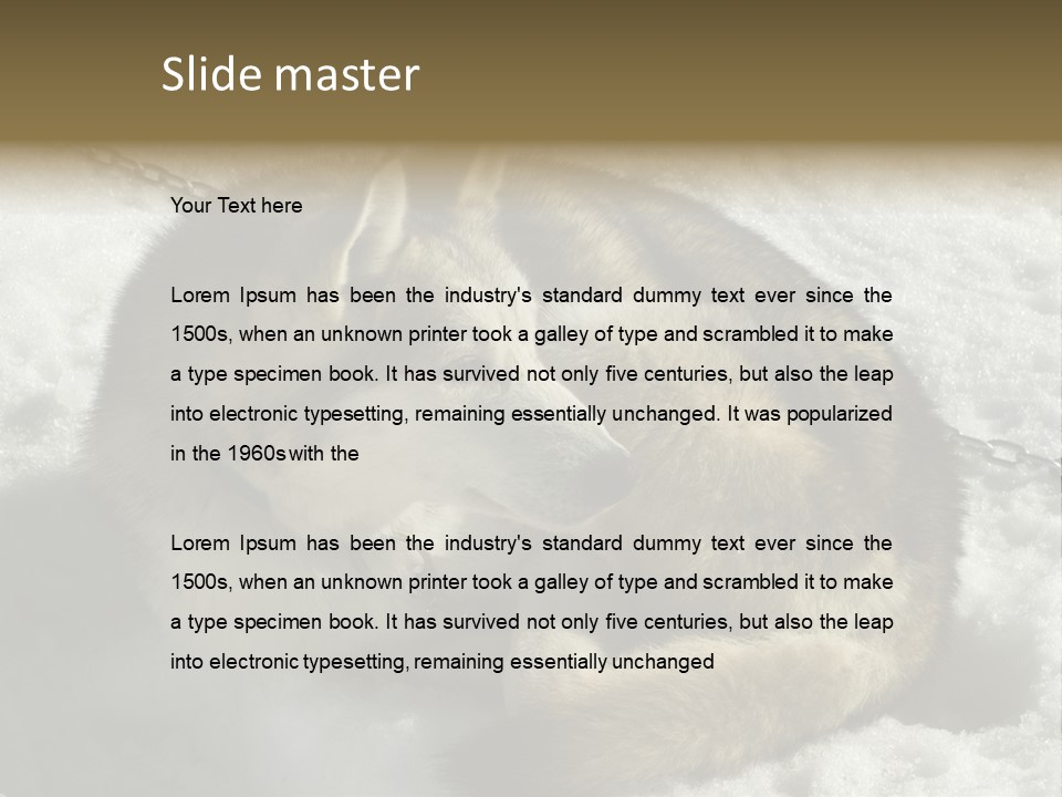 Snow White Husky PowerPoint Template