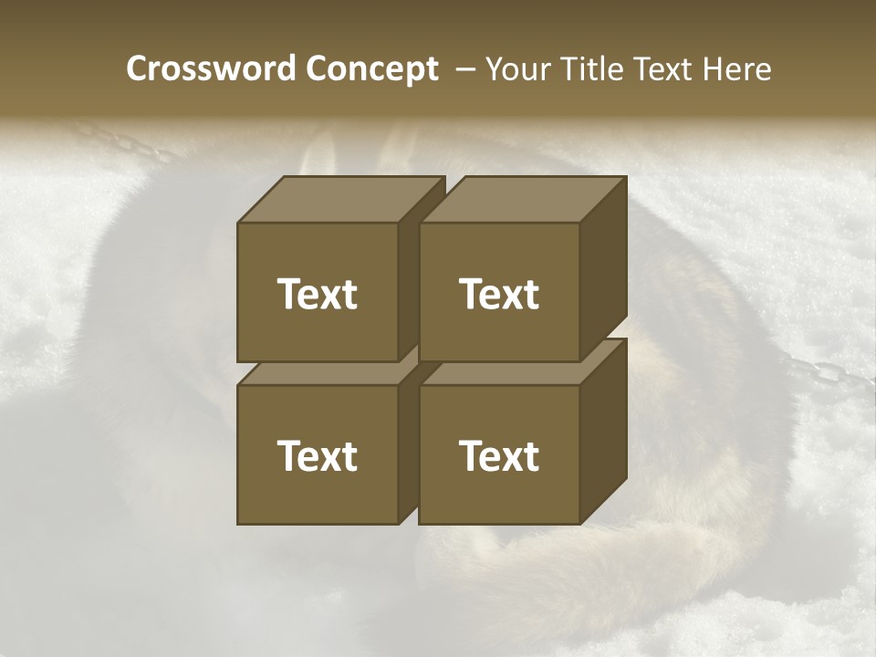 Snow White Husky PowerPoint Template