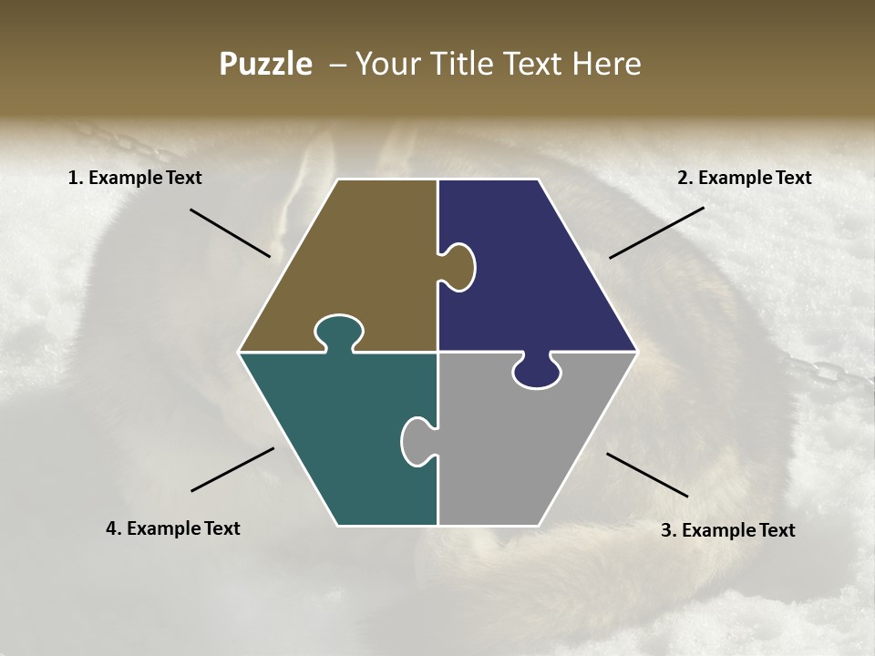 Snow White Husky PowerPoint Template