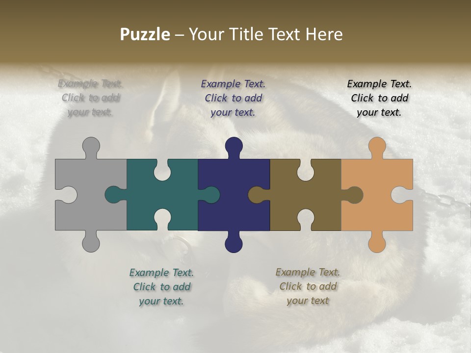 Snow White Husky PowerPoint Template