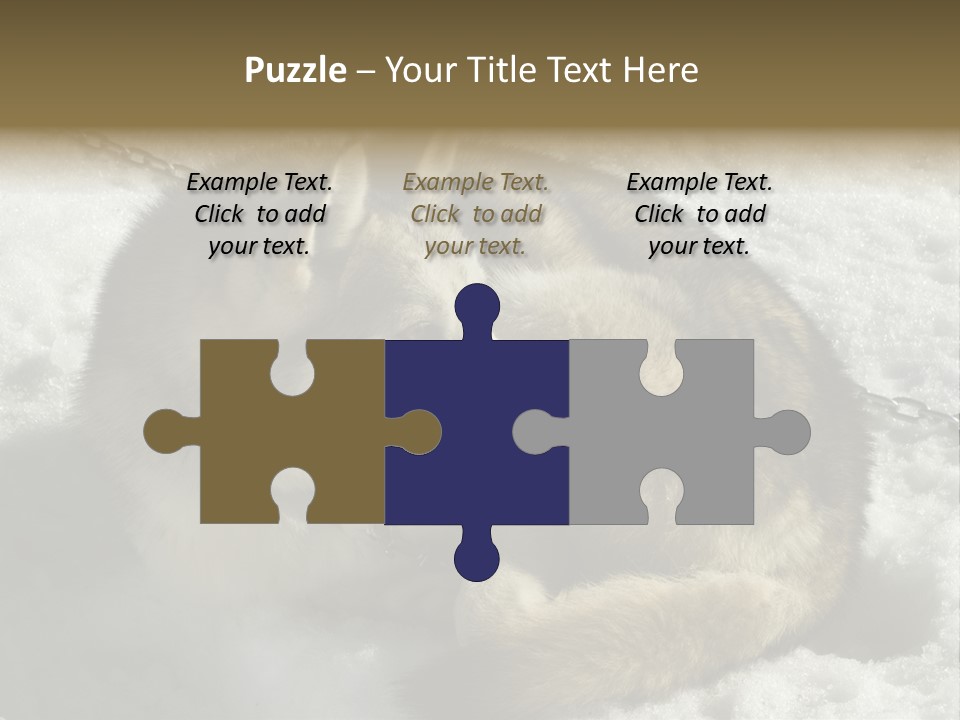 Snow White Husky PowerPoint Template