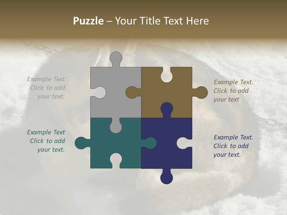 Snow White Husky PowerPoint Template