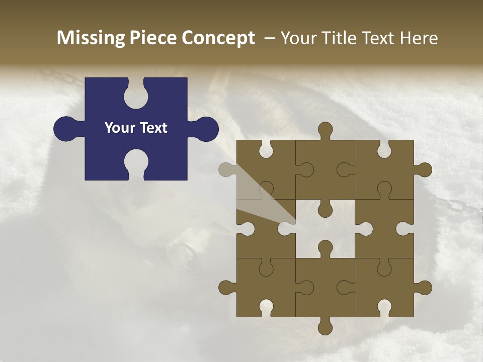 Snow White Husky PowerPoint Template