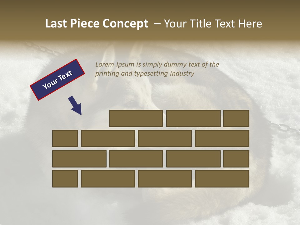 Snow White Husky PowerPoint Template