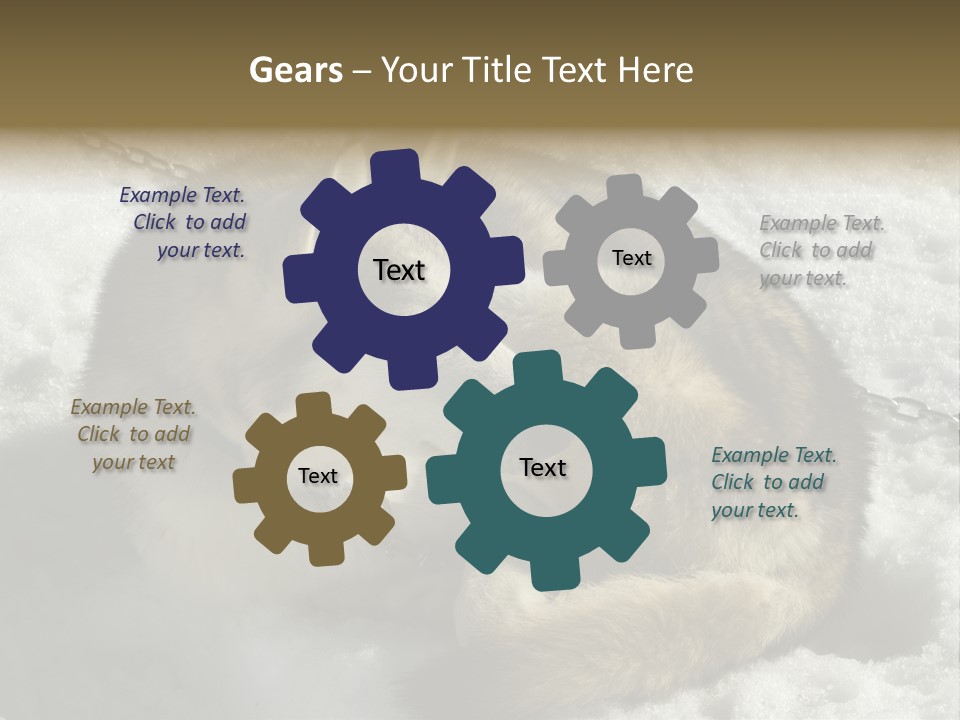 Snow White Husky PowerPoint Template