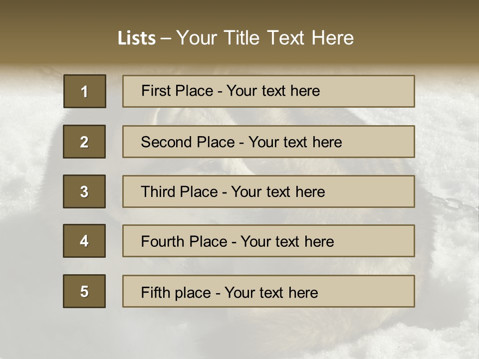 Snow White Husky PowerPoint Template