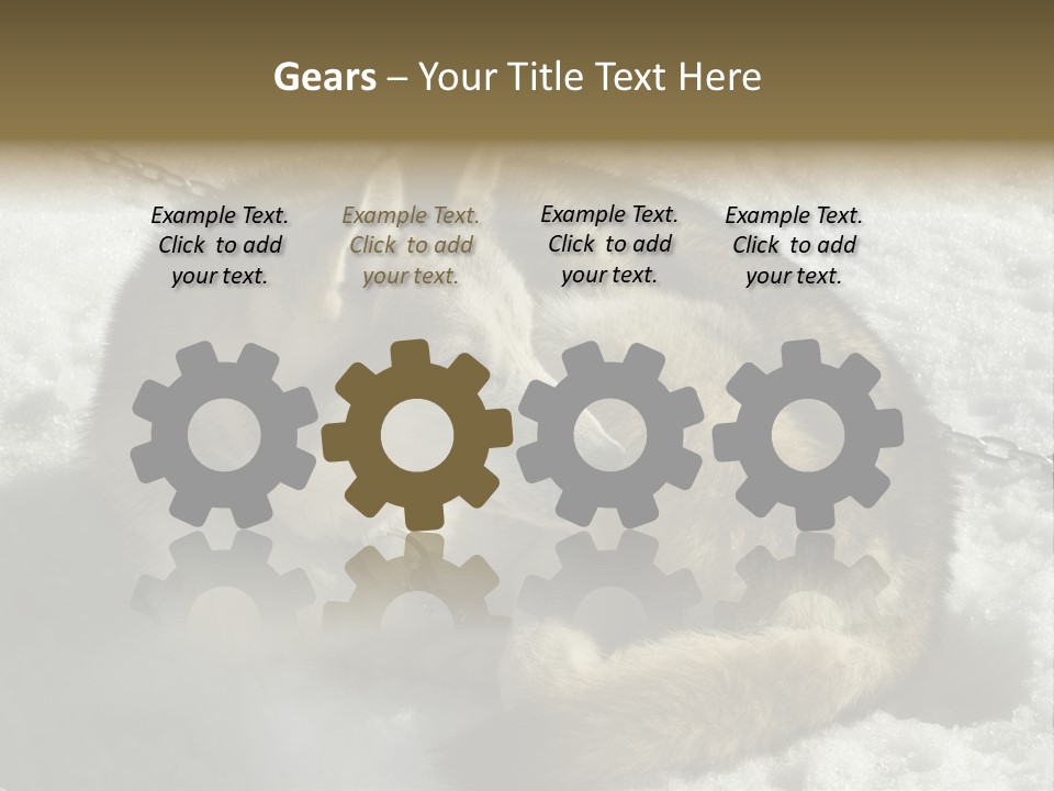 Snow White Husky PowerPoint Template