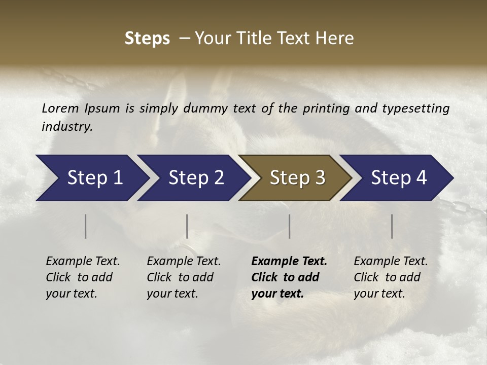 Snow White Husky PowerPoint Template